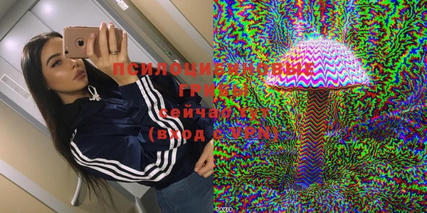 дживик Кинешма
